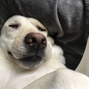 Meet your Posher, Carly